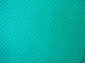 Turquoise Karung Snakeskin